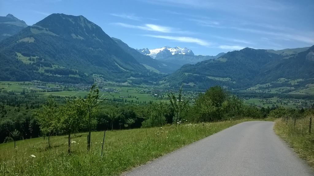 Vila Haus Nussbaumweg 6 Giswil Exteriér fotografie
